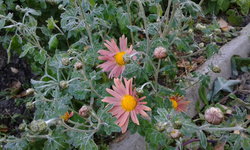 20141002_084541.jpg