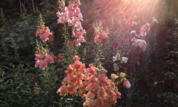 20140814_072024.jpg