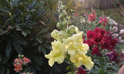 20140810_073824.jpg