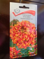 DSCN0235.JPG