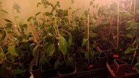 P_20150124_174725.jpg