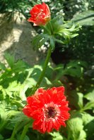 DSC03163.JPG