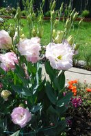 DSCN0022.JPG