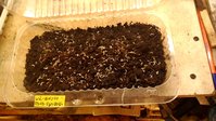 P_20150306_215605.jpg