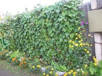 IMG_1088.JPG
