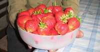 IMG_0699.JPG