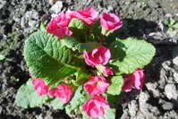 DSCN0474.JPG