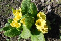 DSCN0473.JPG