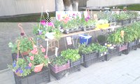 20150507_083203.jpg