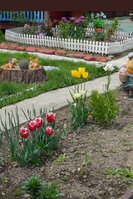 DSCN0521.JPG