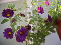 IMG_8810 1.jpg