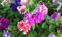 20150520_092615.jpg