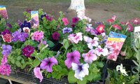 20150520_092605.jpg