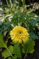 DSCN0936.JPG