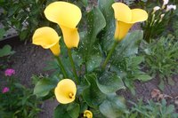 DSCN1024.JPG