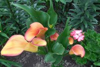 DSCN1070.JPG