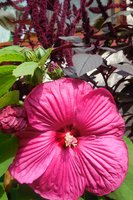 DSCN1647.JPG