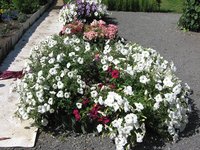 IMG_0344.JPG