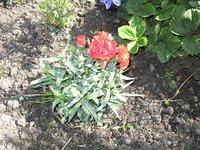 IMG_0625 - копия.JPG