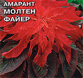 c0704344-95d7-11e2-90ef-3c4a92d5c739_c0704369-95d7-11e2-90ef-3c4a92d5c739.jpg