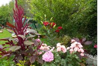 DSCN1360.JPG
