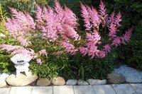DSCN1195.JPG