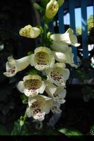 DSCN1610.JPG