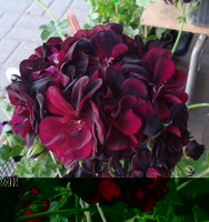 20150626_073751.jpg