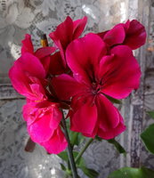 20150618_191500.jpg