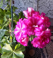 20150617_200518.jpg