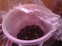 20151212T195044(1).jpg