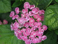 IMG_5345 1.jpg