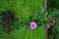 DSC_5985.JPG