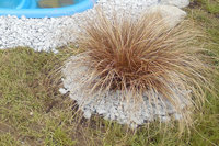 DSCN0605.JPG