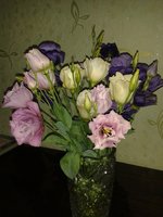 image (2).jpg