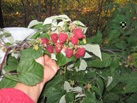IMG_0855.JPG