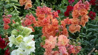 20150813_081056.jpg
