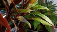 20160112_184243.jpg