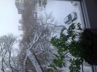 Моя Петрушка