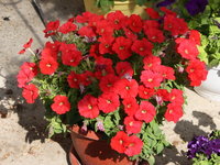 IMG_8982 1.jpg