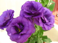 IMG_6459 1.jpg