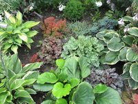 IMG_0028.jpg 1.jpg