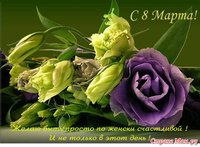 7557142_67881.jpg