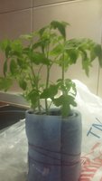 2016-04-01 15.30.37.jpg
