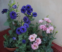 IMG_6706 1.jpg