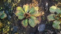 P_20160404_182029_NT.jpg