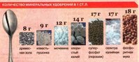 Вес удорбений..jpg