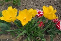 DSCN2136.JPG