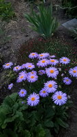 WP_20160624_21_34_31_Pro.jpg