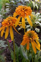 DSCN2718.JPG
